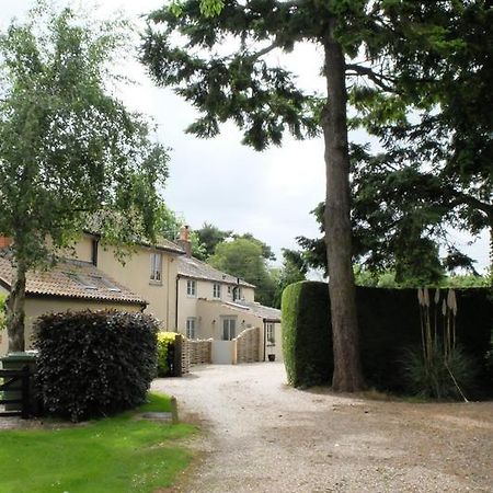 Pippin Heath House B&B Холт Екстериор снимка